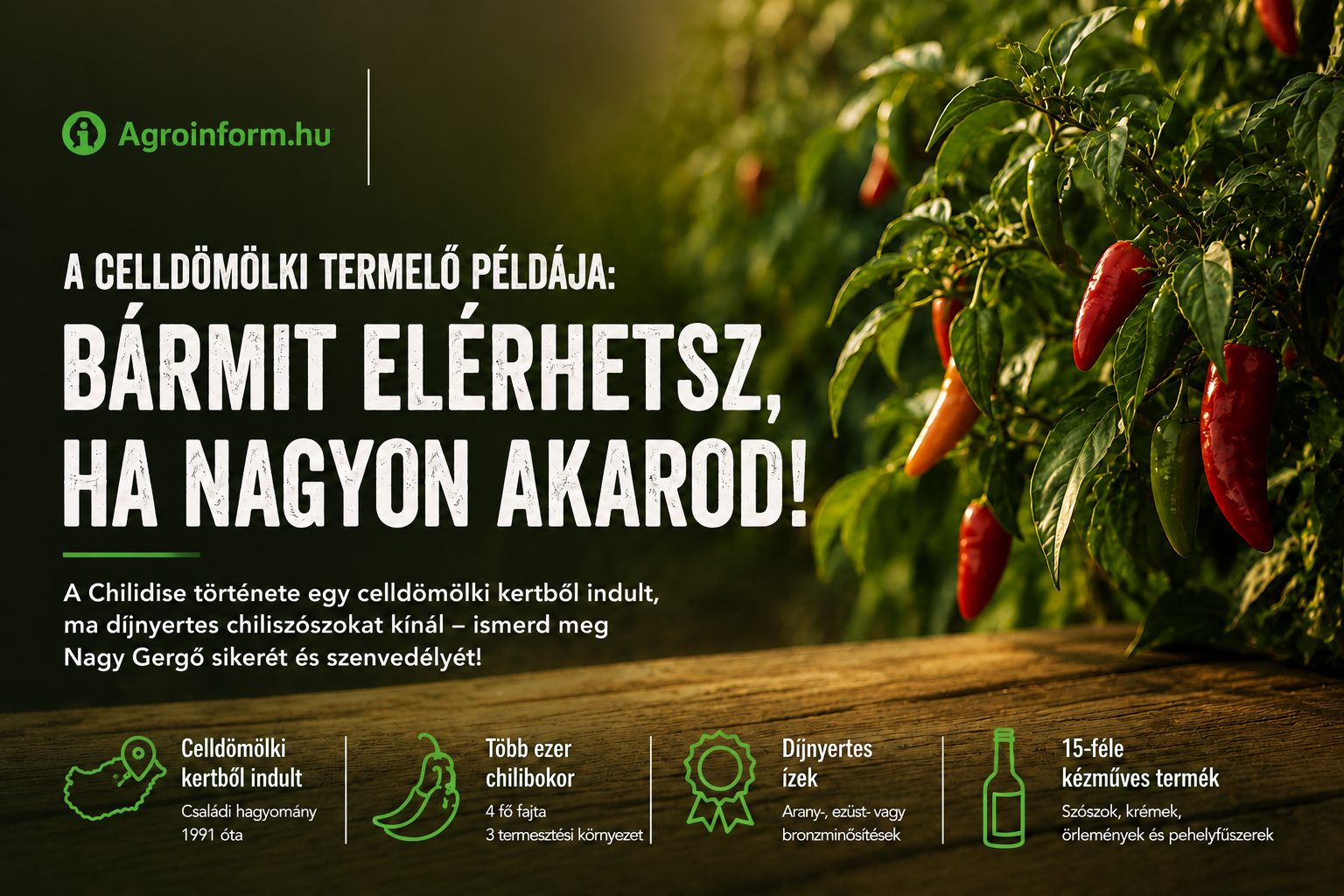 Chilidise az Agroinform sajtómegjelenésében