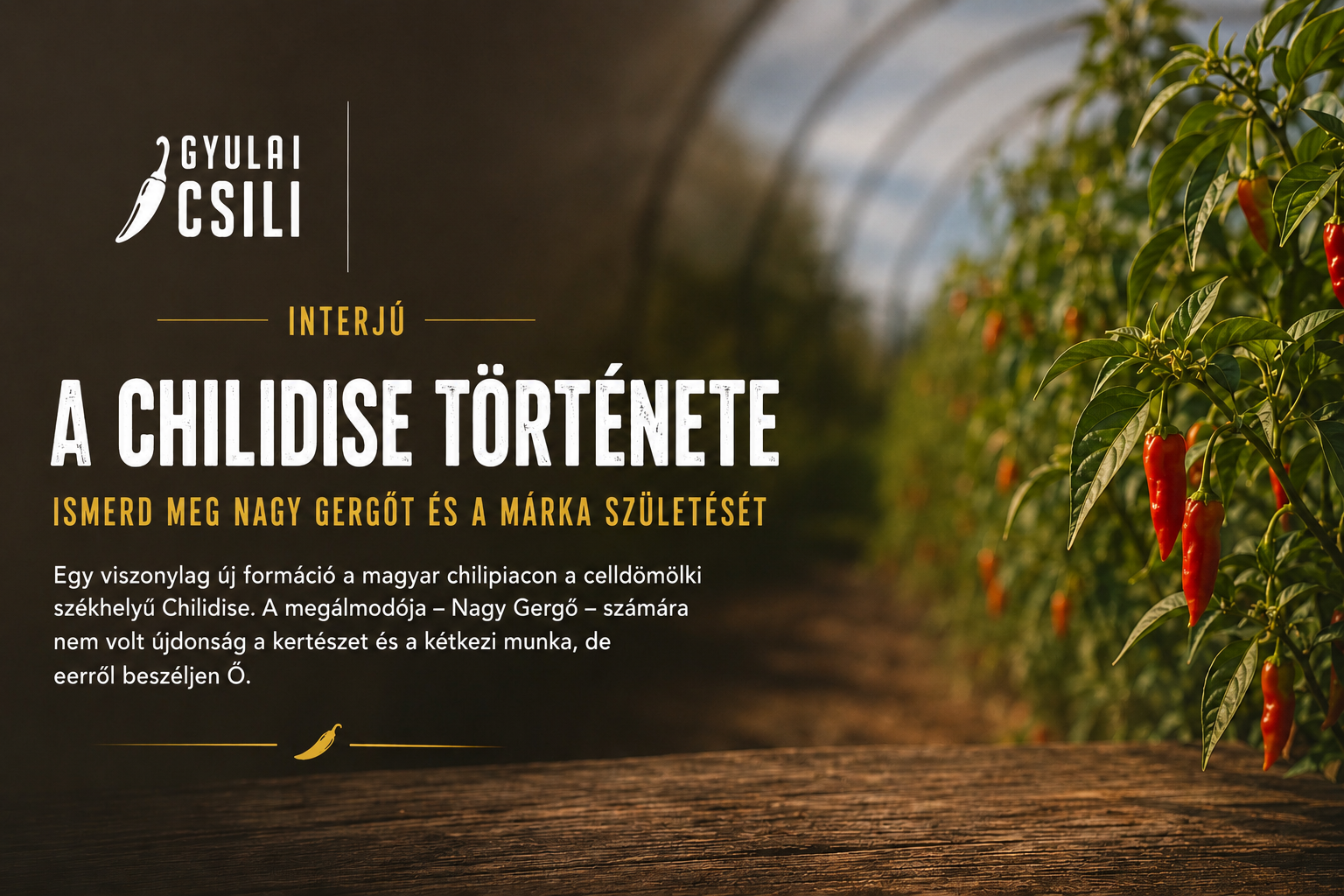 Chilidise a Gyulai Csíliparádén